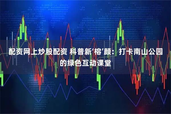 配资网上炒股配资 科普新‘榕’颜：打卡南山公园的绿色互动课堂